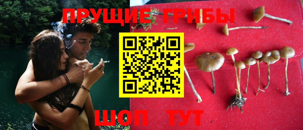 Ленинск-Кузнецкий  наркота  Вход с VPN  Псилоцибиновые грибы GOLDEN TEACHER 